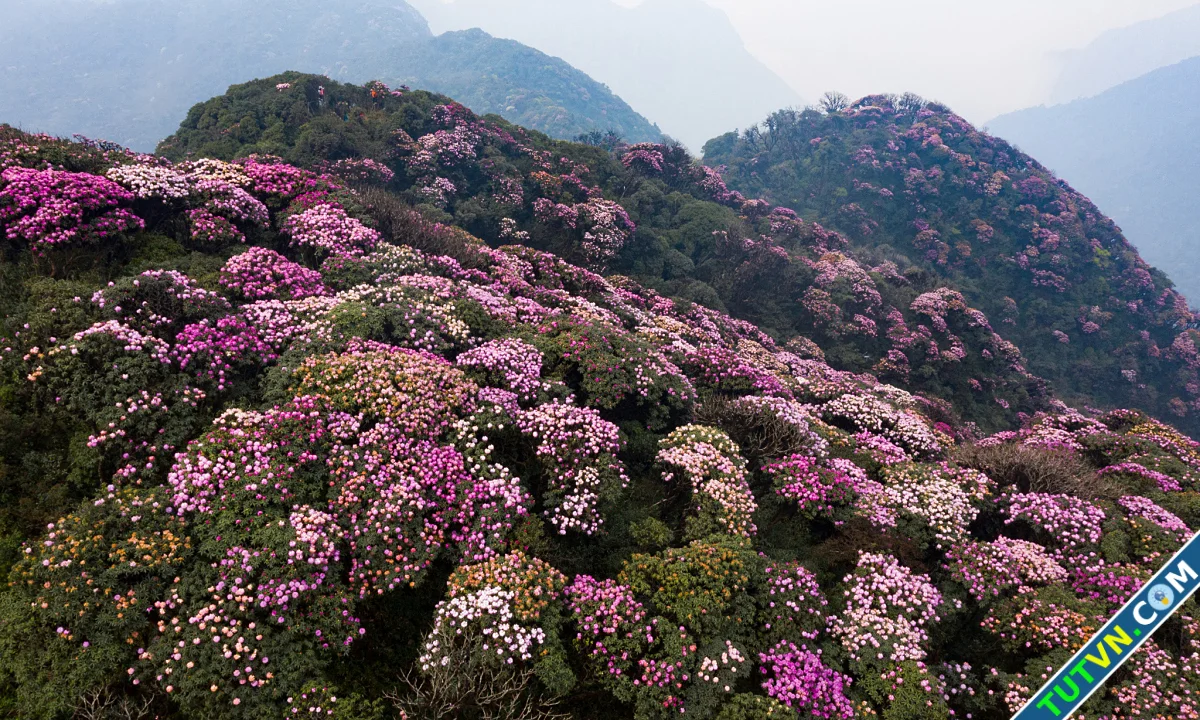 5 cung trekking mùa xuân miền Bắc-1.webp