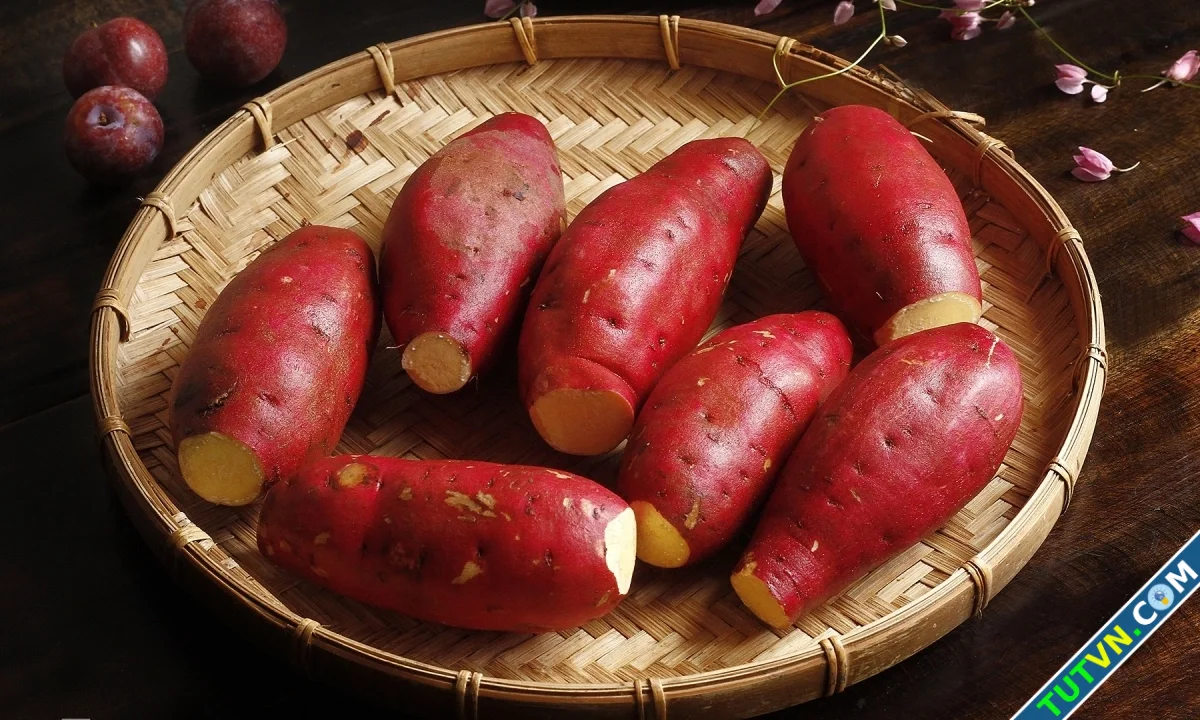 7 thực phẩm giàu carbohydrate nên ăn thường xuyên-1.webp