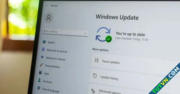 Bản cập nhật Windows 11 mới là 039cơn ác mộng039 với nhiều người dùng-1.webp