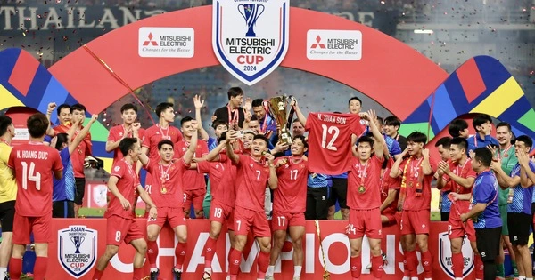 Bảng xếp hạng FIFA Đội tuyển Việt Nam rớt 1 bậc xếp trên Indonesia và bỏ xa Malaysia-1.webp