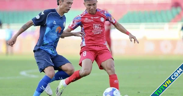 Bảng xếp hạng vòng 25 VLeague Bình Định sát bờ vực thẳm Đà Nẵng thoát đáy nhưng chưa thoát hi...webp