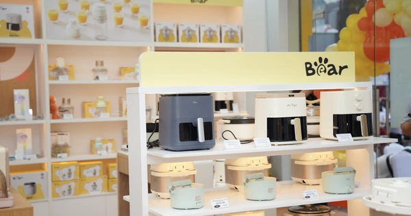 Bear khai trương brandshop chính hãng đầu tiên tại Việt Nam-1.webp