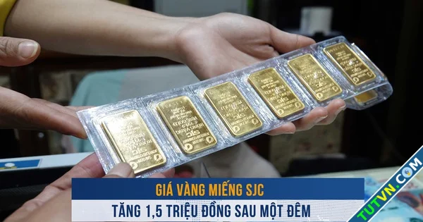 Biến động vàng ngày 1112 Giá vàng miếng SJC tăng 15 triệu đồng sau một đêm-1.webp