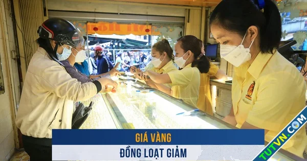 Biến động vàng ngày 2412 Giá vàng đồng loạt giảm-1.webp