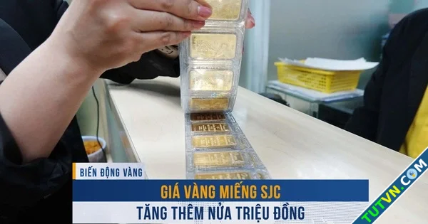 Biến động vàng ngày 31 Giá vàng miếng SJC tăng thêm nửa triệu đồng-1.webp