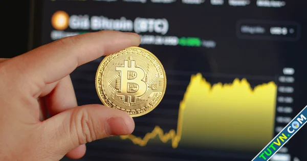 Bitcoin bất ngờ tăng giá lên hơn 100000 USD-1.webp