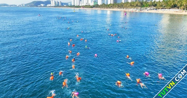 Các kình ngư chinh phục vịnh biển đẹp nhất thế giới tại SeaStar Nha Trang Bay 2025-1.webp