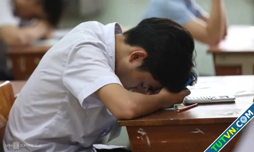 Cho con học thêm vì sợ đội sổ-1.webp