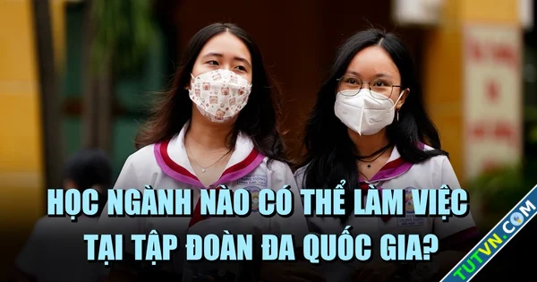 Chọn ngành học nào để có thể làm việc tại các tập đoàn đa quốc gia-1.webp