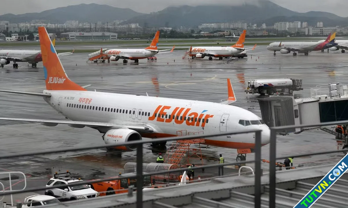 Cổ phiếu Jeju Air xuống thấp kỷ lục-1.webp