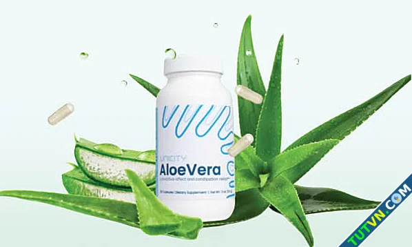 Công dụng của cây lô hội với đường tiêu hóa-1.webp