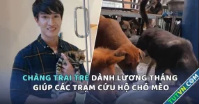 Chàng trai trẻ dành lương tháng giúp các trạm cứu hộ chó mèo