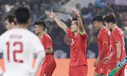 Việt Nam tăng, Indonesia giảm hai bậc FIFA