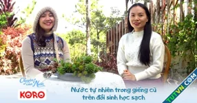 Chuyện của nước số 31: Nước tự nhiên trong giếng cũ trên đồi sinh học sạch