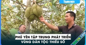 Phú Yên tập trung phát triển kinh tế - xã hội vùng đồng bào dân tộc thiểu số