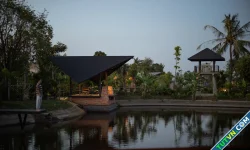 Nhà vườn 500 m2 ẩn mình dưới tán cây