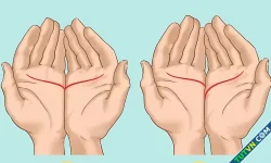 Đường tình duyên tiết lộ bạn thận trọng hay bốc đồng?