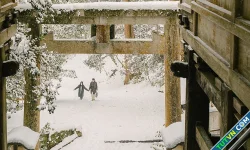 Mùa tuyết ở Hokkaido