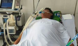 Ba người ngộ độc sau ăn canh chua cá nóc