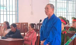 Người sát hại con dâu 'ngăn cản yêu đương' lĩnh 20 năm tù