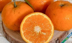 4 lợi ích của vitamin C với người bệnh viêm khớp
