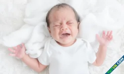 Phân biệt ho gà với ho thông thường thế nào?