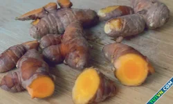 5 thực phẩm quen thuộc làm đẹp da
