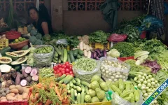 Nhiều rau củ, trái cây đồng loạt giảm giá