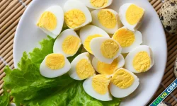 Ăn trứng khi mắc sốt xuất huyết có ảnh hưởng tiêu hóa?