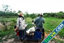 Rủi ro khi về quê với 11 triệu đồng sau 17 năm ở Hà Nội