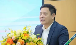 'Bậc tiểu học chưa cần quan tâm điểm số, thành tích'
