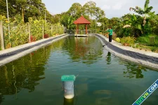 Xây ao trữ nước ngọt kết hợp nuôi cá làm du lịch ở miền Tây