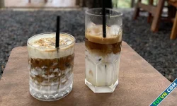 Người bệnh thận nên uống cà phê thế nào