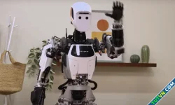 Google ra hai nền tảng chung cho robot