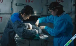 Phim 'Bác sĩ tha hương' tạo sức hút trên K+