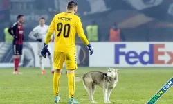 Những điều luật ít biết trong bóng đá