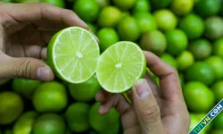 7 quả giàu canxi nên ăn thường xuyên