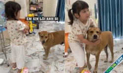 Lỡ miệng xưng tao, bé gái khoanh tay xin lỗi 'anh' chó
