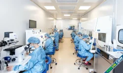 Sàng lọc phôi thụ tinh ống nghiệm có thể phát hiện dị tật