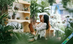 Gen Z tìm về những thú chơi thời ông bà