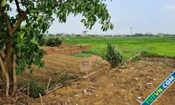 'Cầm ba tỷ đồng nửa năm không mua nổi đất ngoại thành Hà Nội'