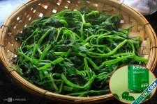 KOL quảng cáo lố thu tiền, xin lỗi rồi nhẹ nhàng lướt qua