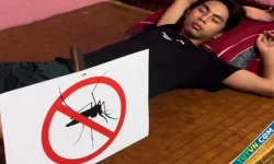 Ngủ an toàn nhờ đặt biển 'cấm muỗi' cạnh giường