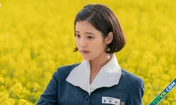 'Khi cuộc đời cho bạn quả quýt'