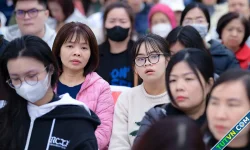 Lung lay về ngành học vì lo bị AI thay thế