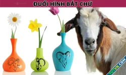 Đây là tỉnh nào ở miền Nam?