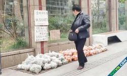 Thu lời từ mô hình quầy trái cây không người bán