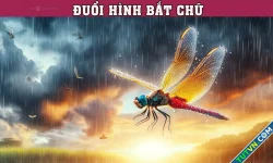 Bạn có thể đọc chuẩn câu tục ngữ này trong 5 giây?