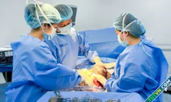 Thai nhi bị bất thường động mạch