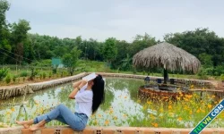 Vợ chồng tôi cho thuê nhà Hà Nội 400 m2 để về tỉnh sống sướng
